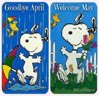 c211eba0a6ba7399d6e1313c20743a75