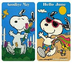 cc5ef13f07bae26c3f8a806eaebca568