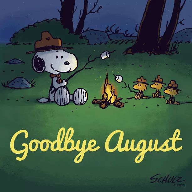 August Wrap Up! – The Book and Beauty Blog