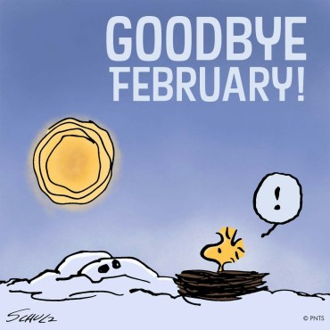 73891489ced171f427d44ddcc10daaeb