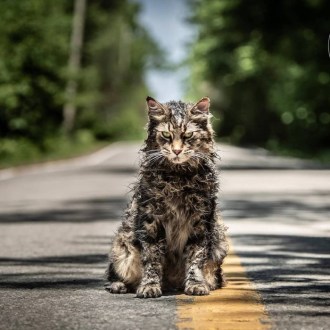 Pet-Sematary-2019-01.jpg